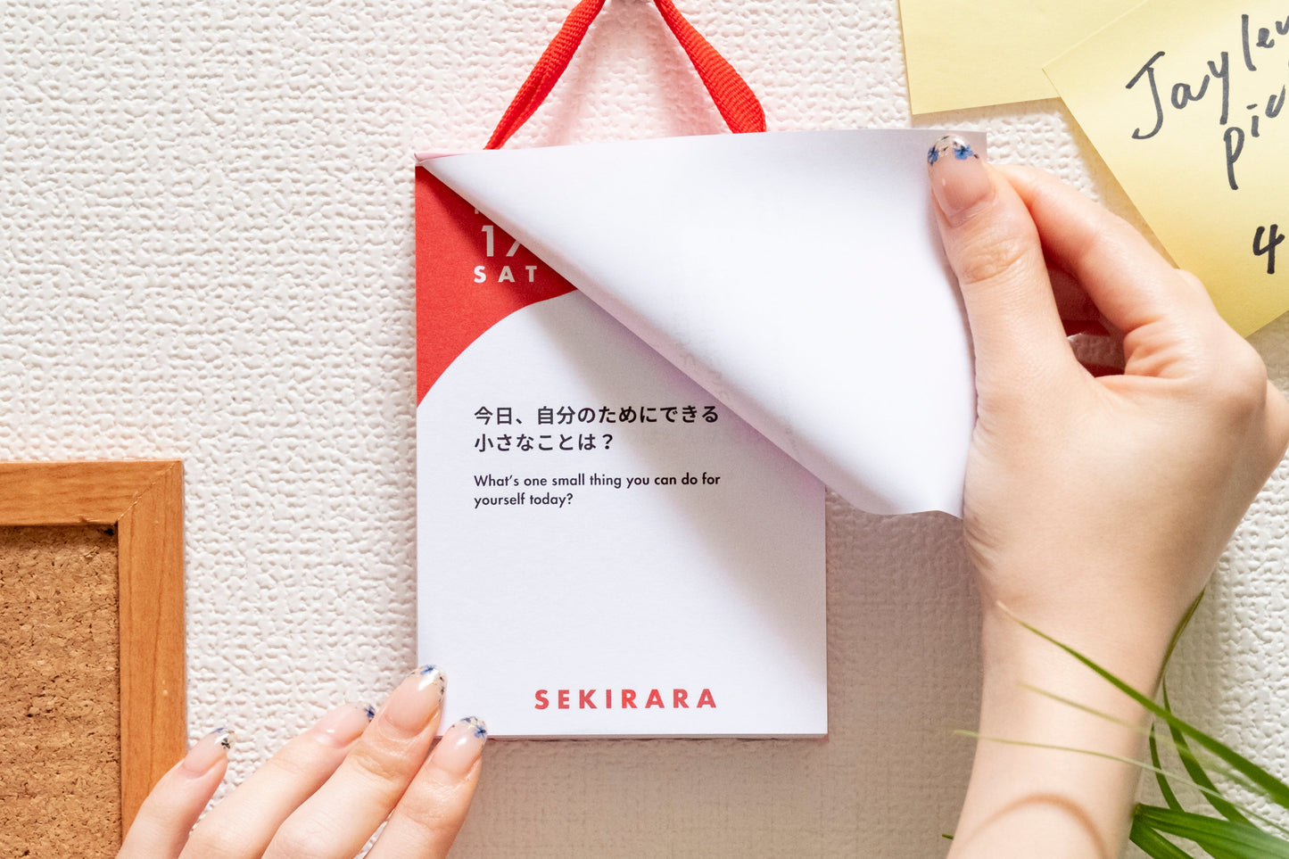 セキララ日めくりカレンダー　セルフケア用　2026年上半期